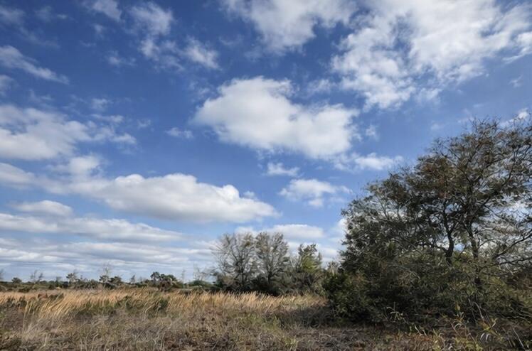 THE SOUTHERN COLONIZATION - Land