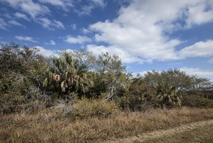 THE SOUTHERN COLONIZATION - Land