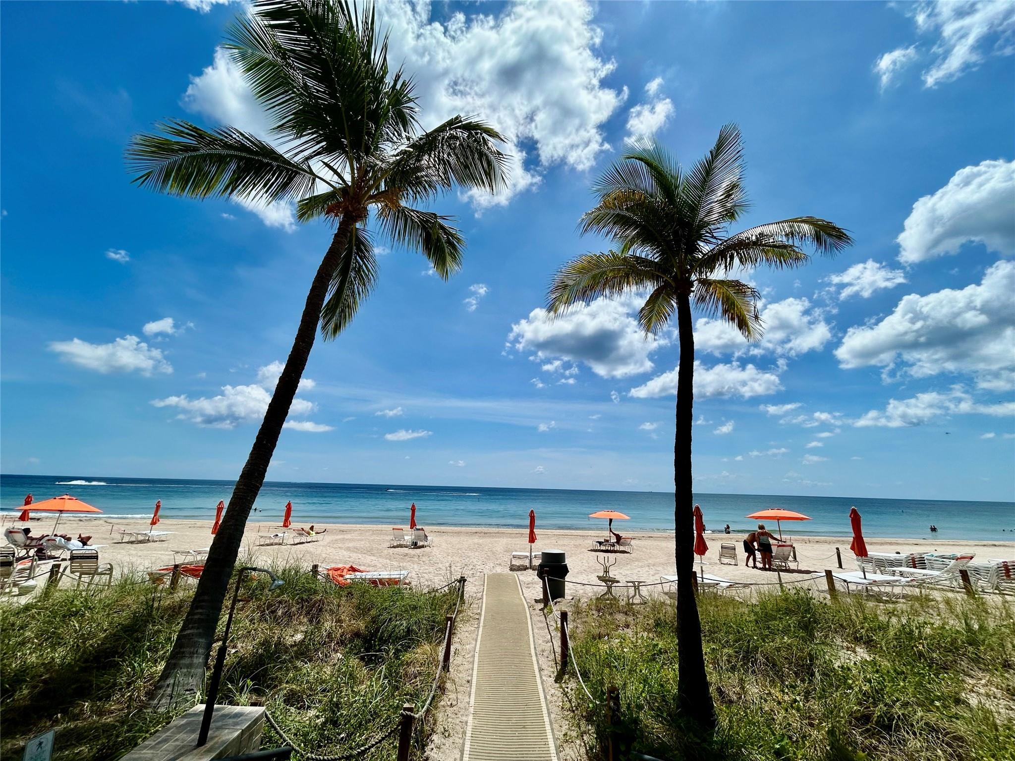 3800 NE Galt Ocean Dr 803