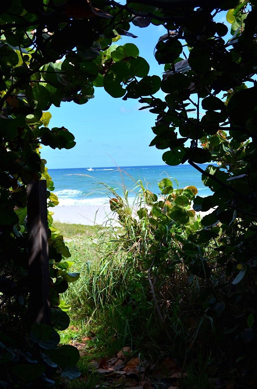 Sea Dunes - Residential