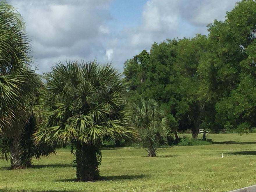 Wonderful corner lot on the same street as the International Polo Club. It has scientist soil test done, US Army Corp of Engineers/FL Dept of Environmental Protection documents,no wetland. Zoned AR with equestrian overlay, it also has many other possibilities. It has an AG Equestrian classification for tax purposes. It was cleared and fenced all done with permits