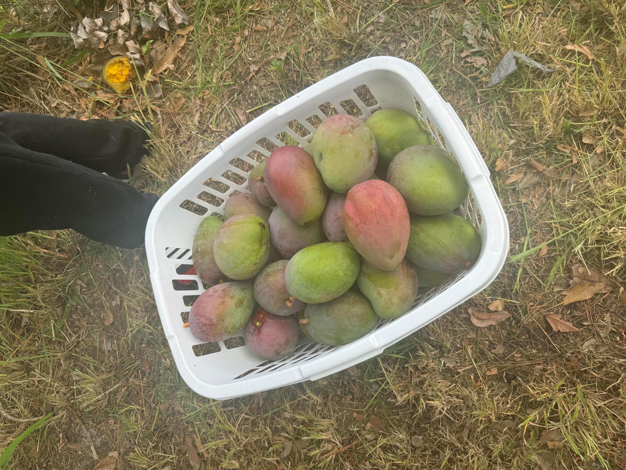 PORT ST LUCIE SECTION 28 - Residential