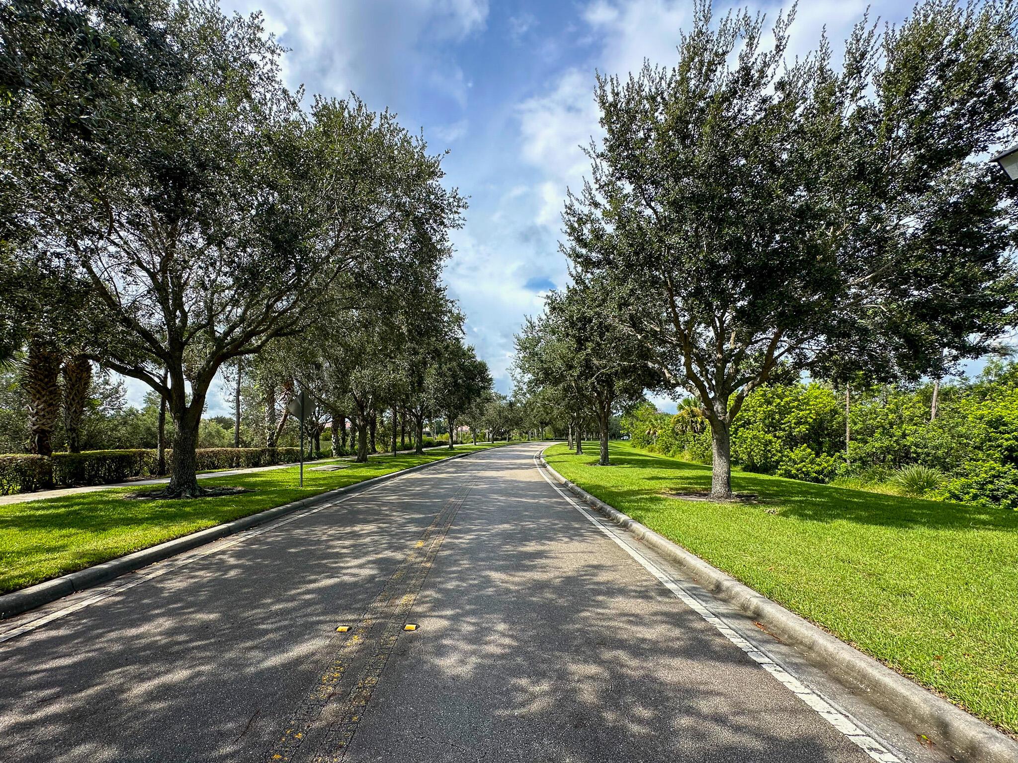 The Lakes at Tradition - Residential