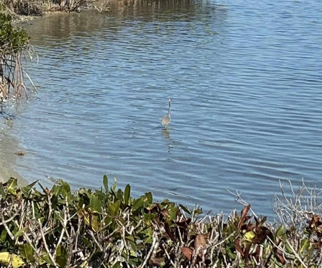 Reflections on the River - Residential