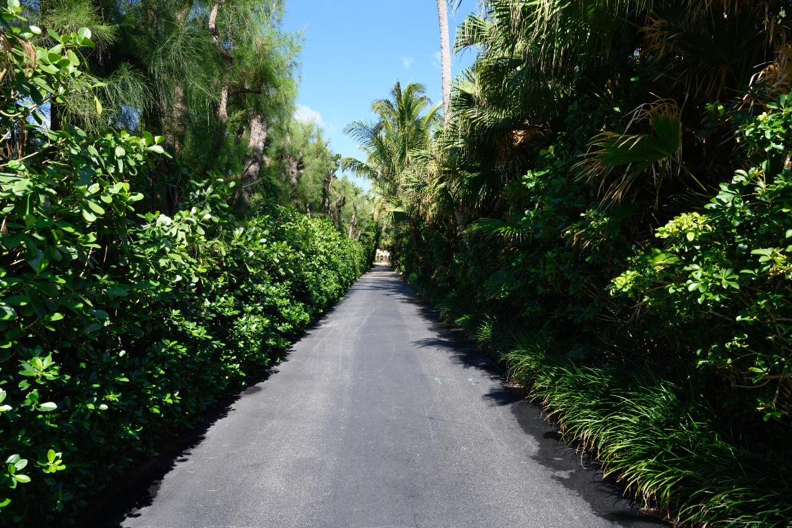 OCEAN TOWERS NORTH CONDO - Residential