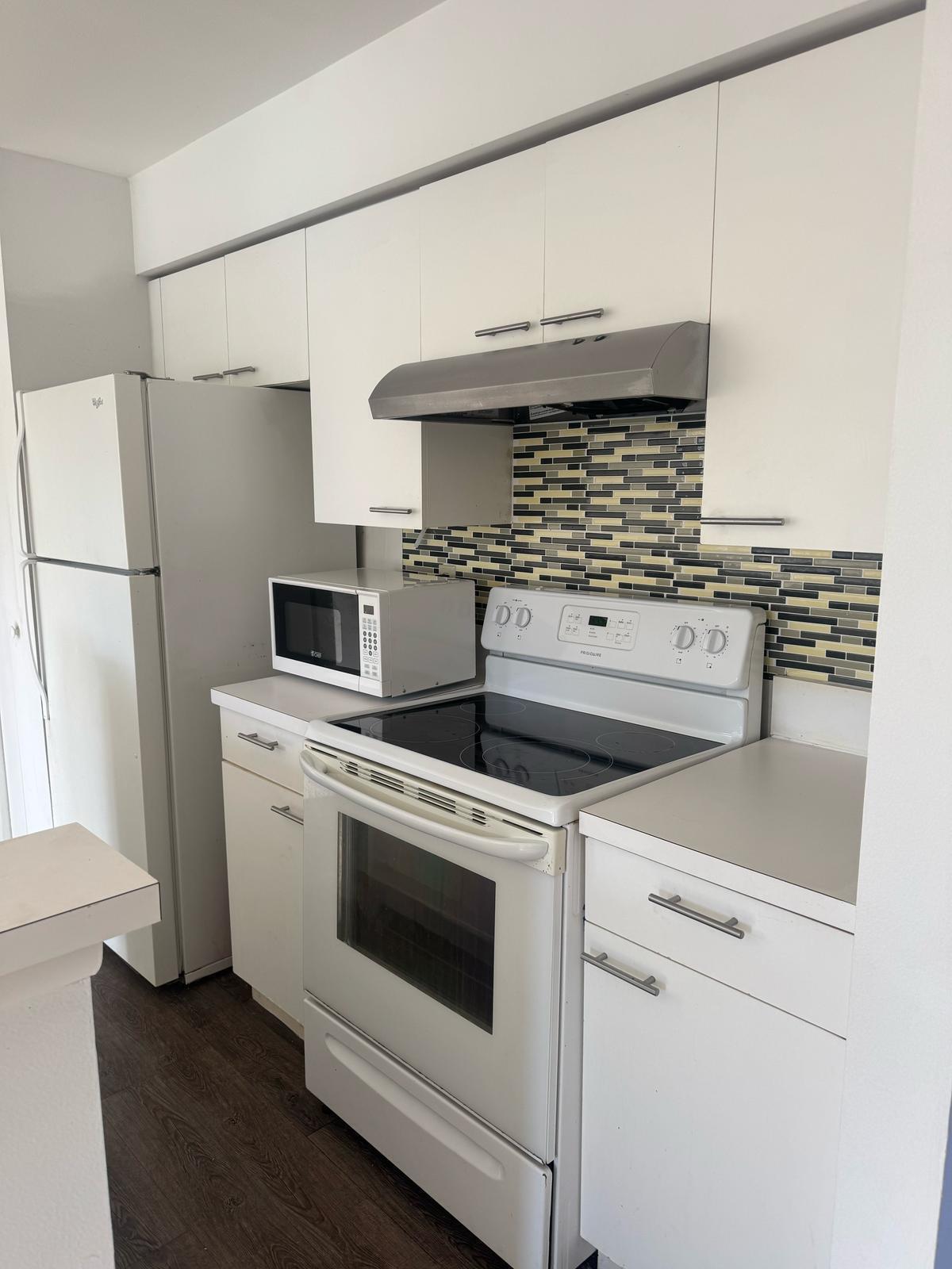 4807 Via Palm Lakes 1519