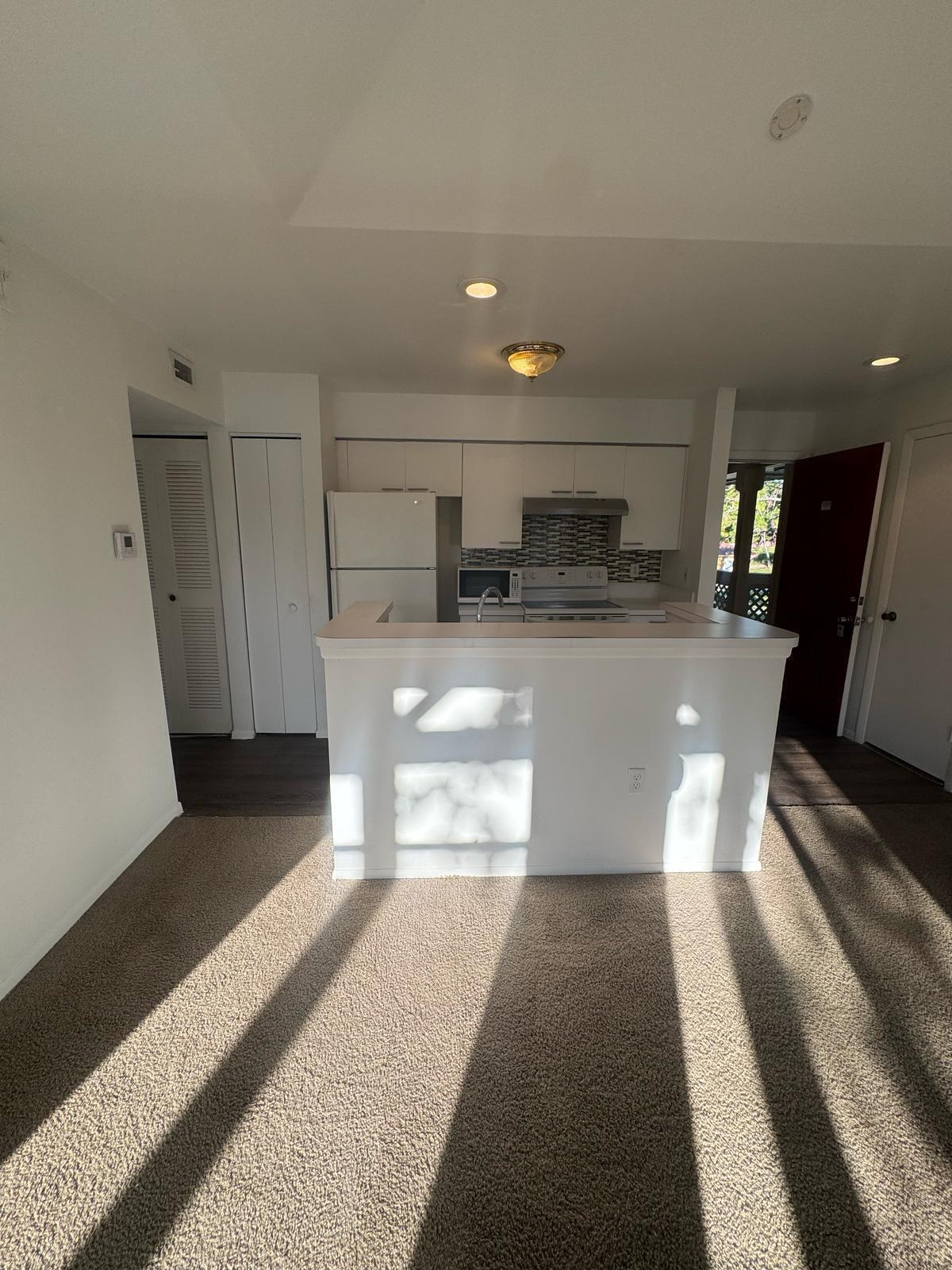 PALM LAKE CONDO - Residential