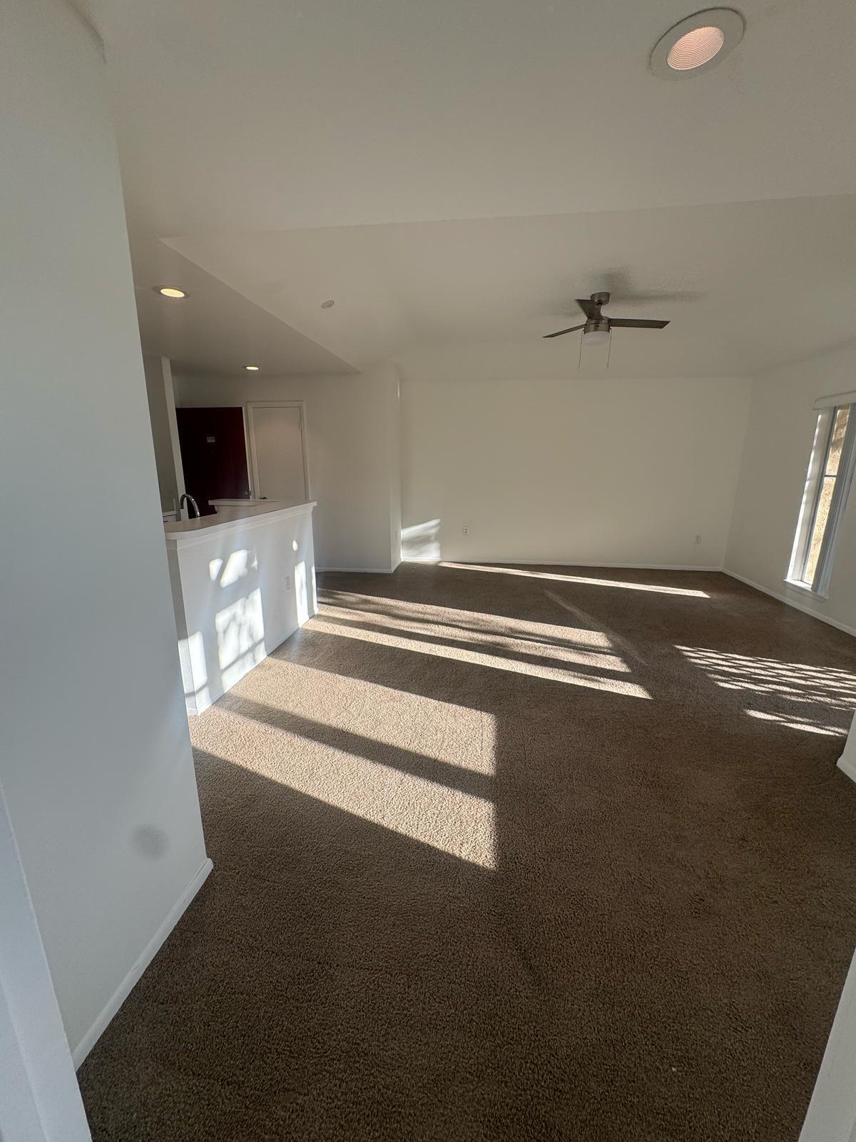 PALM LAKE CONDO - Residential