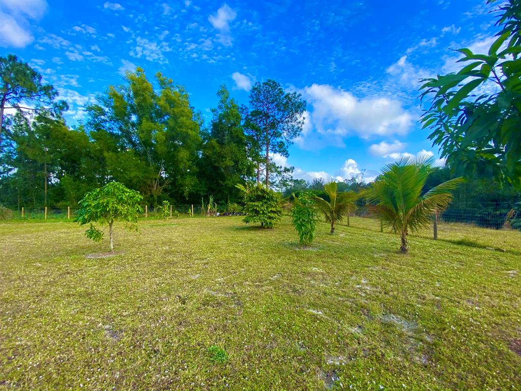 LOXAHATCHEE - Residential