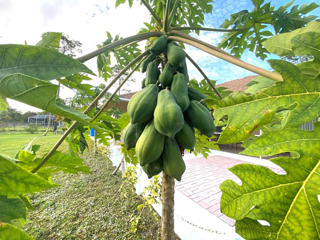 LOXAHATCHEE - Residential