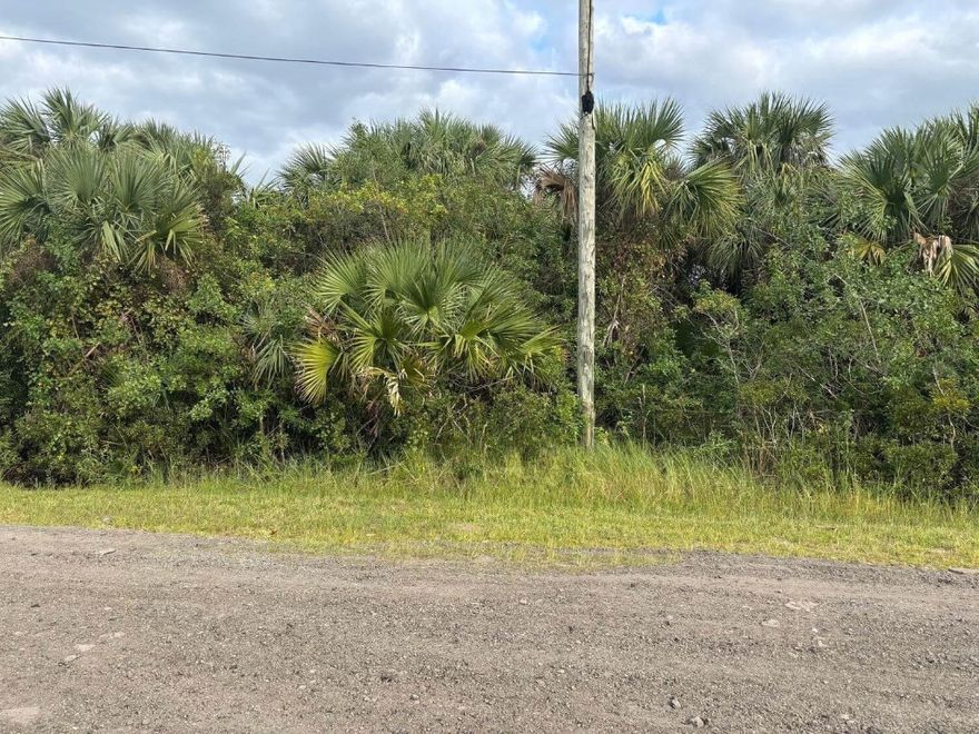 Beautiful Palm Bay building lot. Take advantage of our owner financing and lock this property in today…then build when you’re ready.Owner financing available