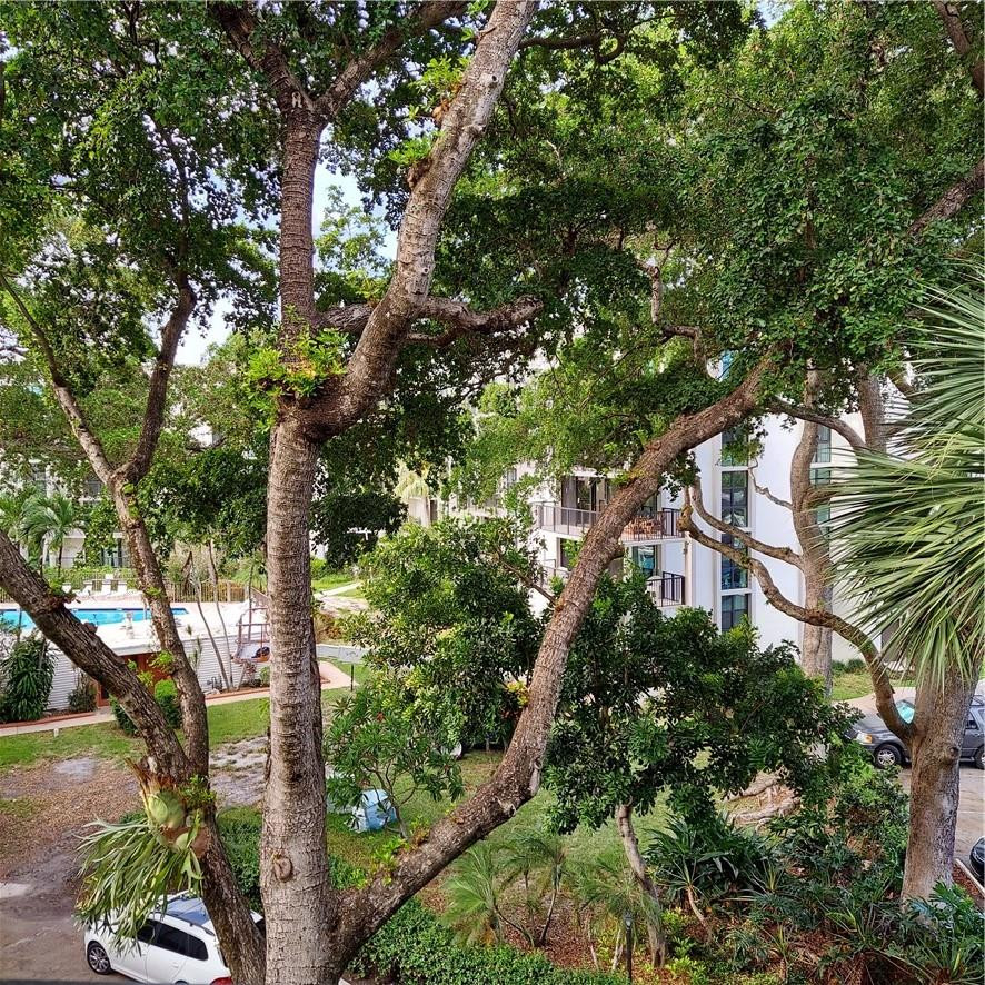 River Reach - Residential