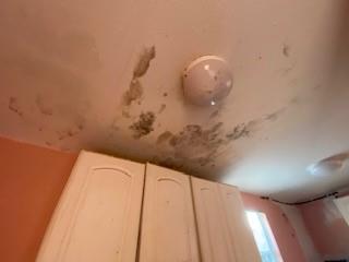 FLAGLER GROVE ESTATES EXT - Residential