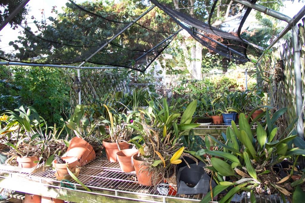 Veteran Sub 1 26-24 B - Residential