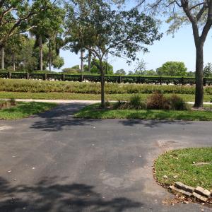 VILLAS OF THURSTON - Residential