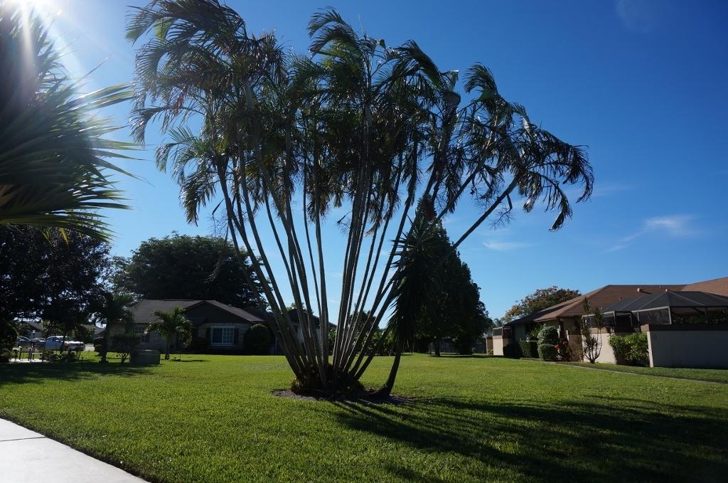 INDIAN CREEK PH III-A - Residential Lease