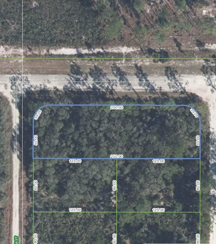 .45 ACRE VACANT RESIDENTIAL BUILDING LOT LOCATED IN LEISURE LAKES NEIGHBORHOOD. NICE QUIET SECTION WITH WILDLIFE FREE TO ROAM ABOUT. 1243-ACRE PRESERVE ACROSS THE STREET WITH HIKING TRAILS. SELLER FINANCING AVAILABLE WITH VARIETY OF TERMS AND DOWN PAYMENT OPTIONS TO CHOOSE FROM. OWN A PIECE OF FLORIDA LAND, A GREAT INVESTMENT OPPORTUNITY,