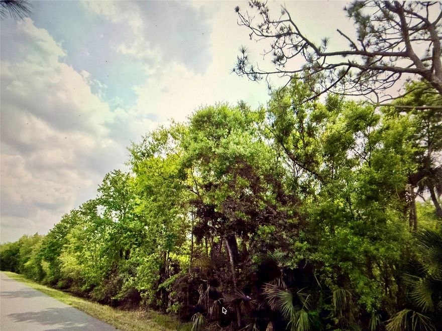 Build your dream home on this beautiful ¼-acre residential lot located in a growing neighborhood of Okeechobee, Florida. This wooded parcel offers natural privacy with scattered mature trees. Situated in an area experiencing new development and steady growth, this property presents an excellent opportunity for both homeowners and investors. Enjoy a peaceful setting with convenient access to local schools, shopping, dining, and outdoor recreation, including world-renowned fishing and boating on Lake Okeechobee.