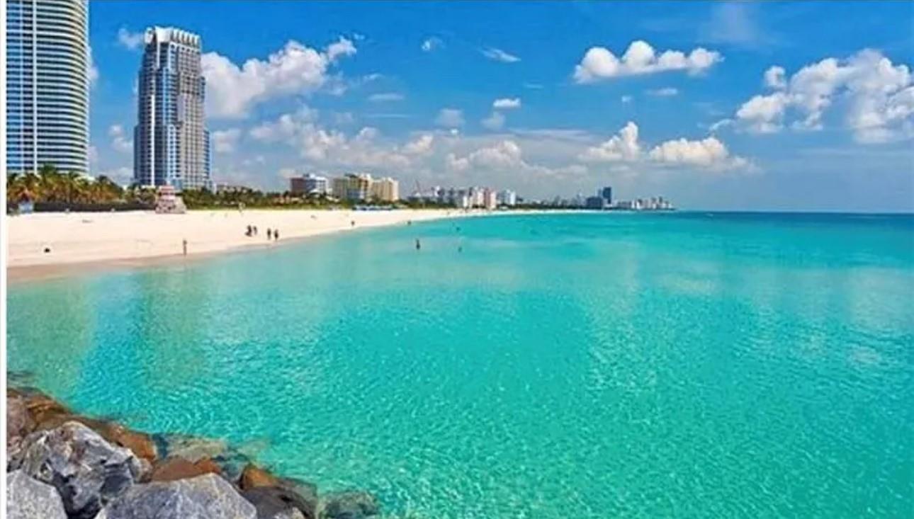 Beautiful 2bed 2bath Condo in Miami Beach . IDEAL spacious split bedroom floor plan . Washer/Dryer in Unit.
Building features concierge, valet, gym, pool. Great location, only minutes to Lincoln Road shops, South bch.
Miami Beach convention center Fillmore theater . A car free trolley service from city or Miami Beach. Just steps to the beach and more .