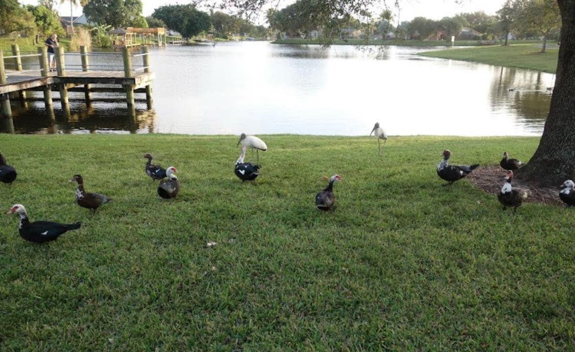 LA MANCHA - Residential Lease