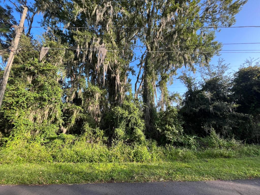 PLANTATION ESTATES UNIT 31 - Land