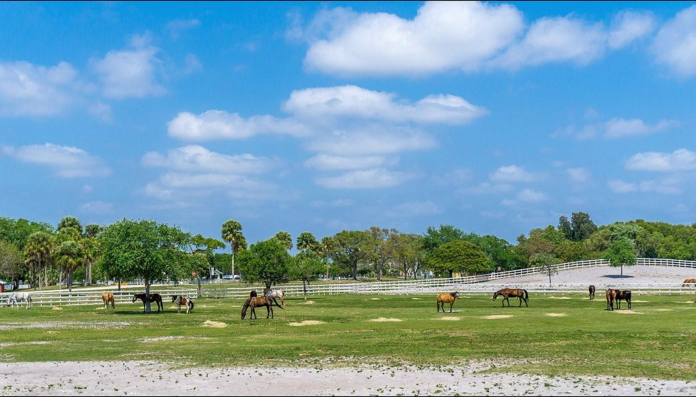 COCO PARC - Residential