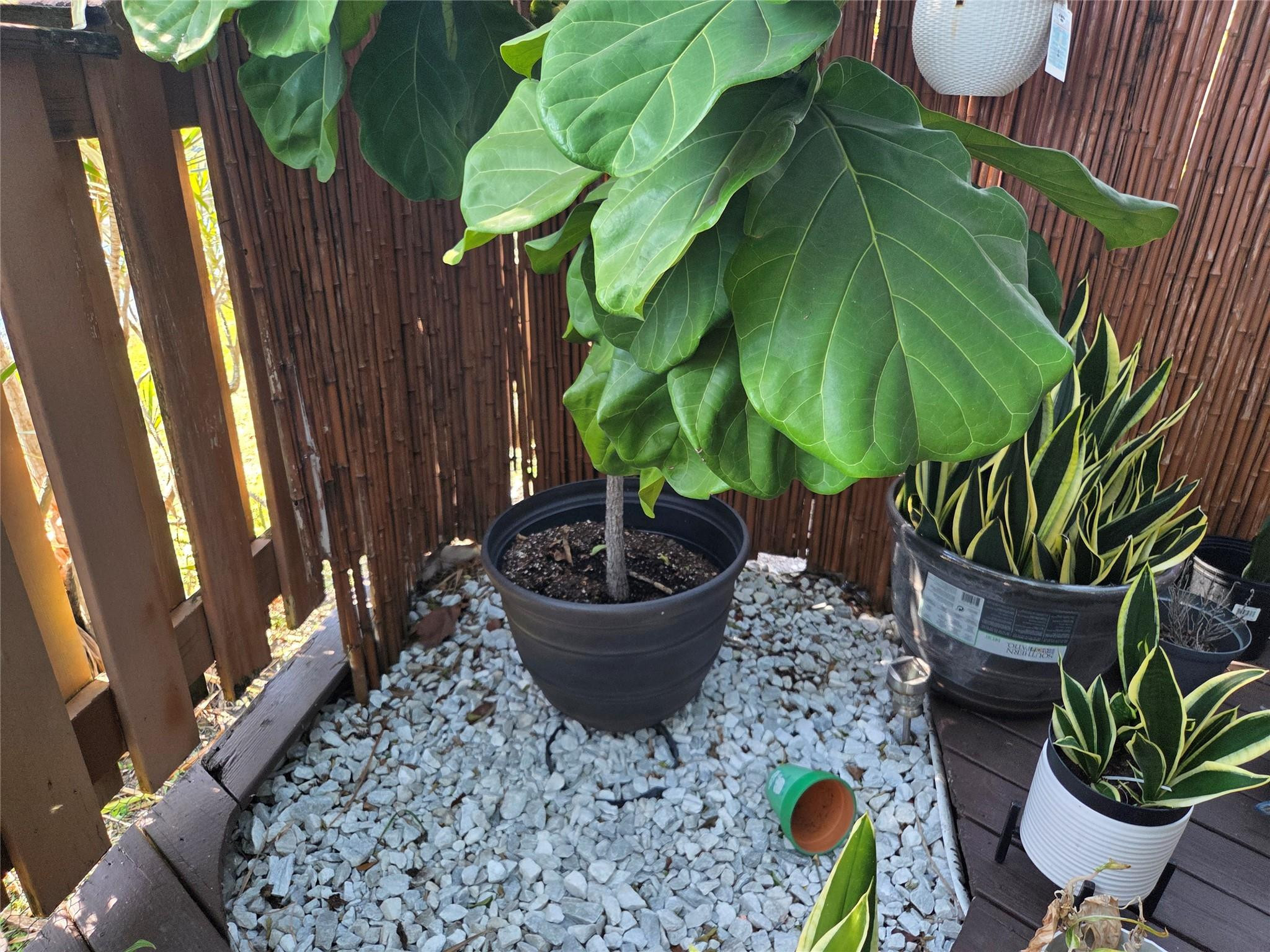 OUR PLACE A.K.A. ISLAND N - Residential