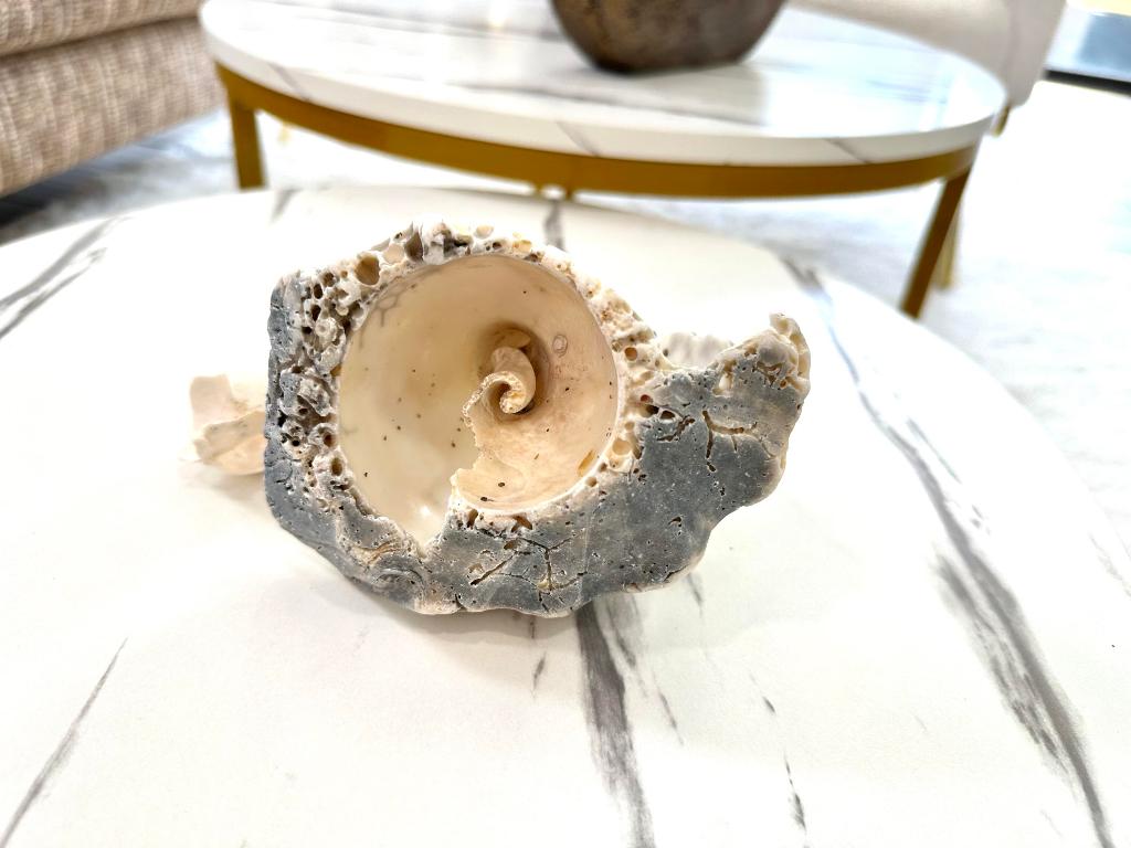 OCEAN HARBOUR VILLAS CONDOMINIUM - Residential Lease