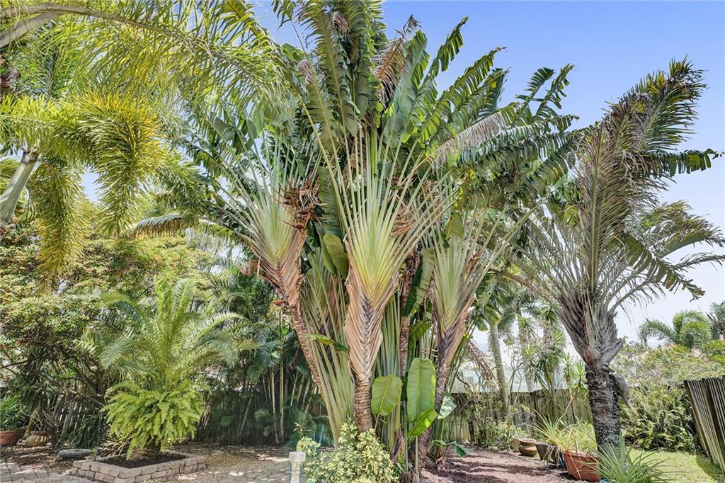 Meadows 300 01 - Residential