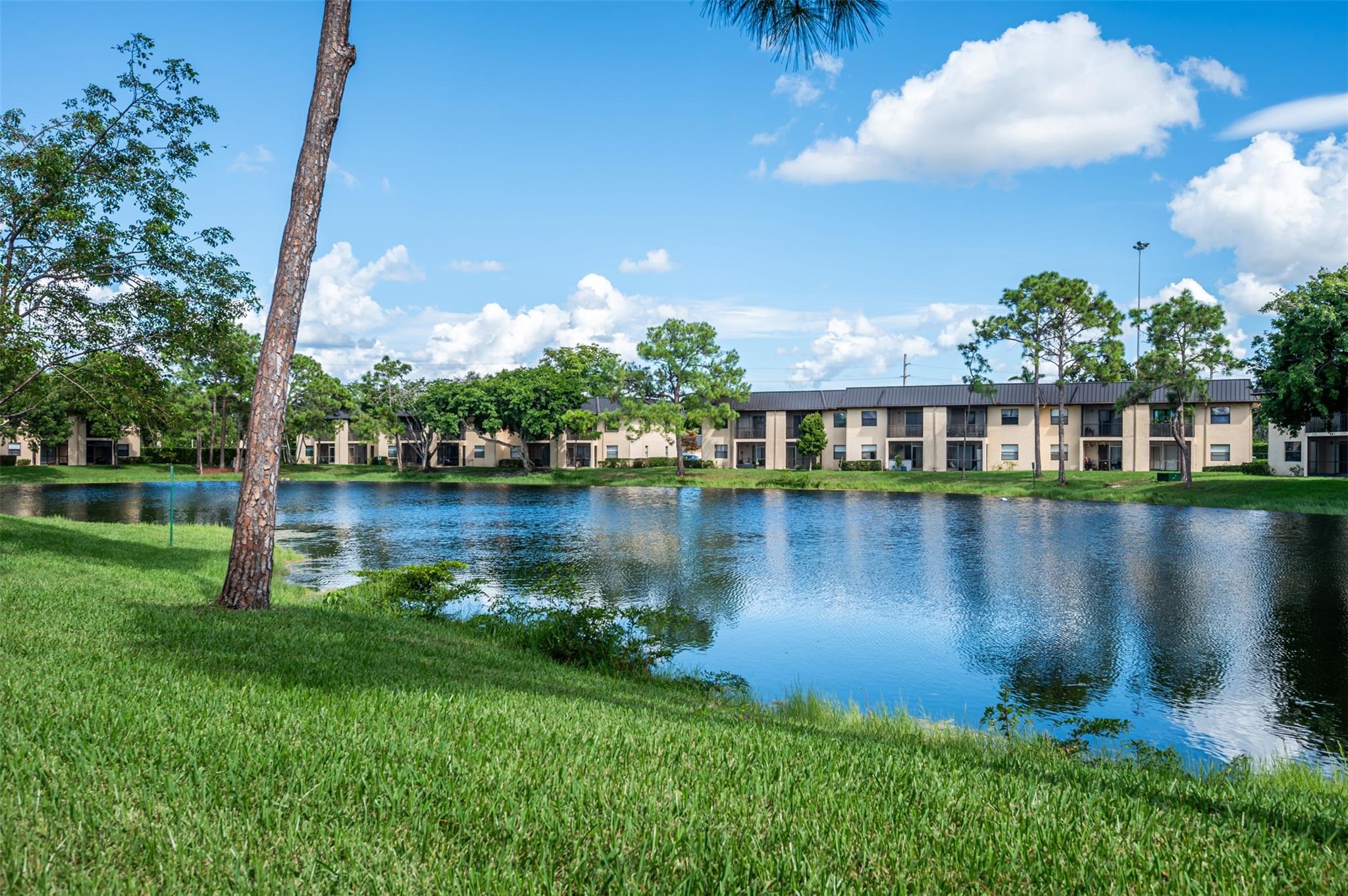 PINE LAKE /  CONDO 141 - Residential Lease