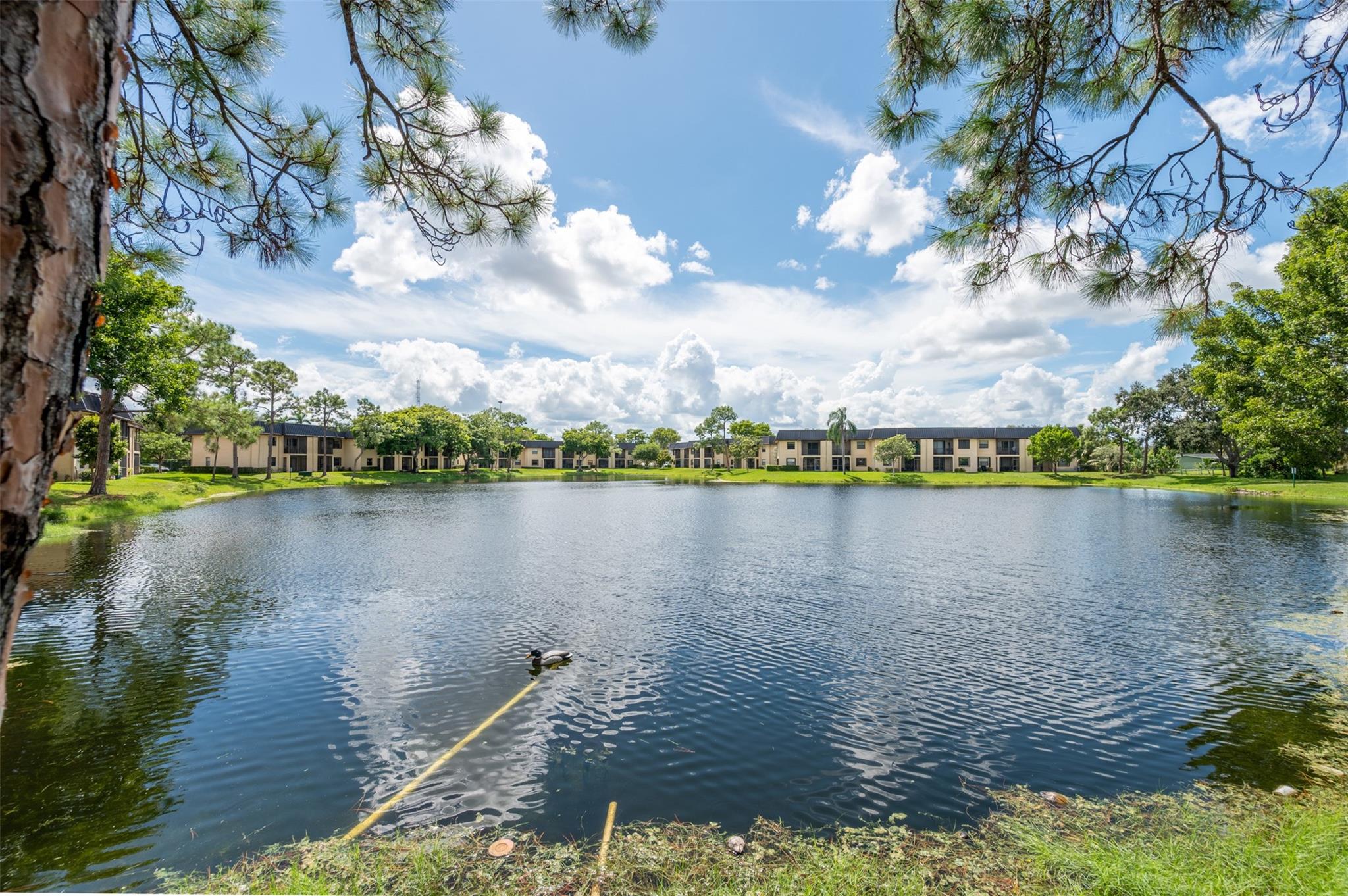 PINE LAKE /  CONDO 141 - Residential Lease
