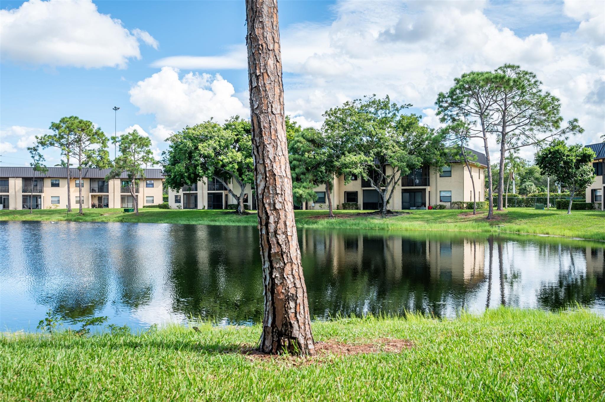 PINE LAKE /  CONDO 141 - Residential Lease