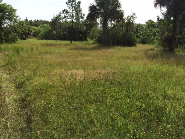 Agent owner, this is a beautiful property zone AR-1 horses allowed go around the block and you have the Savanna State park miles of equestrian trails or hiking for your pleasure no need to trailer your horses country living at its best and yet near everything.