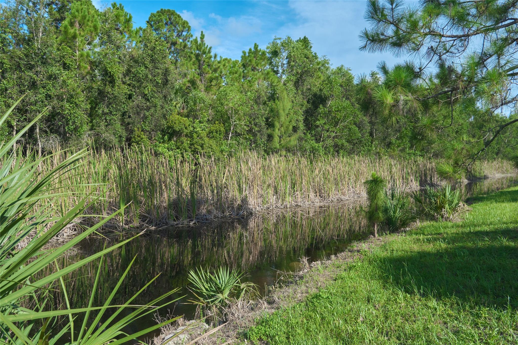 3586 Cabbage Palm Way