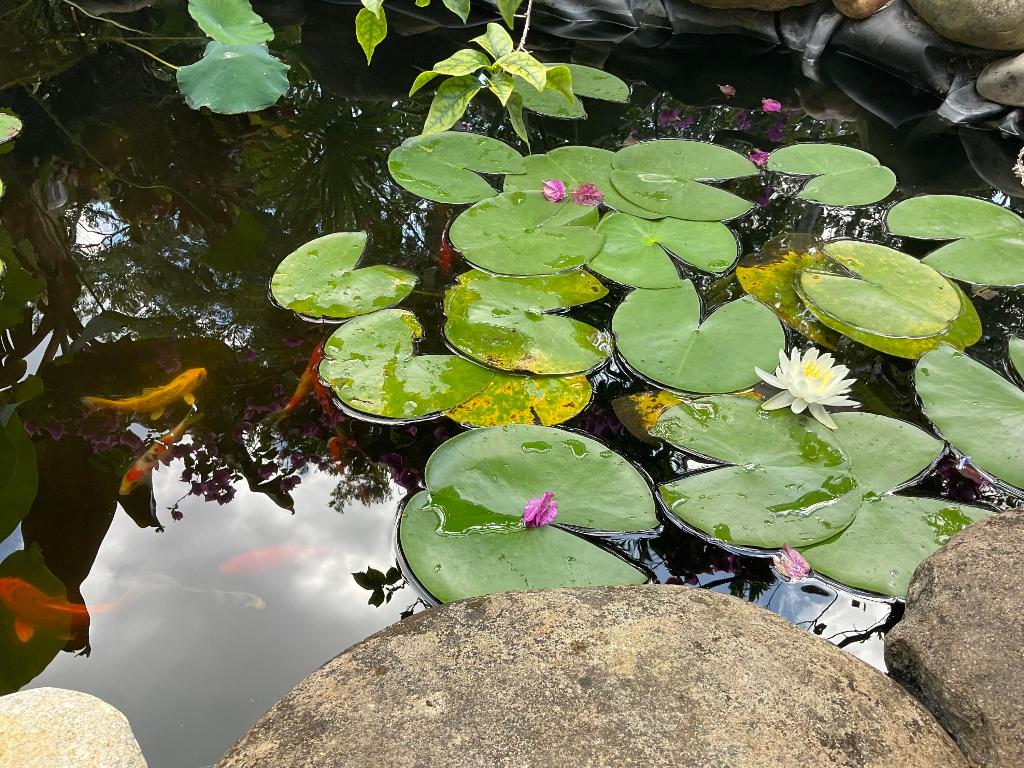 PARKLAND LAKES - Residential Lease