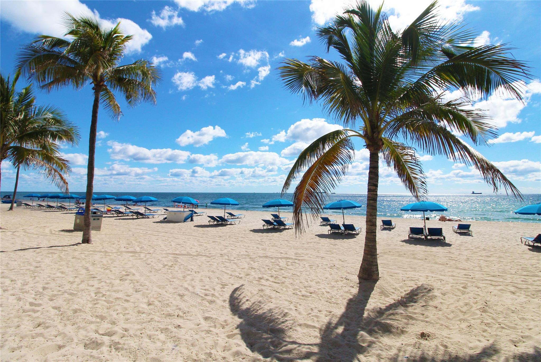 Breakers Seville Co-Op - Residential Lease