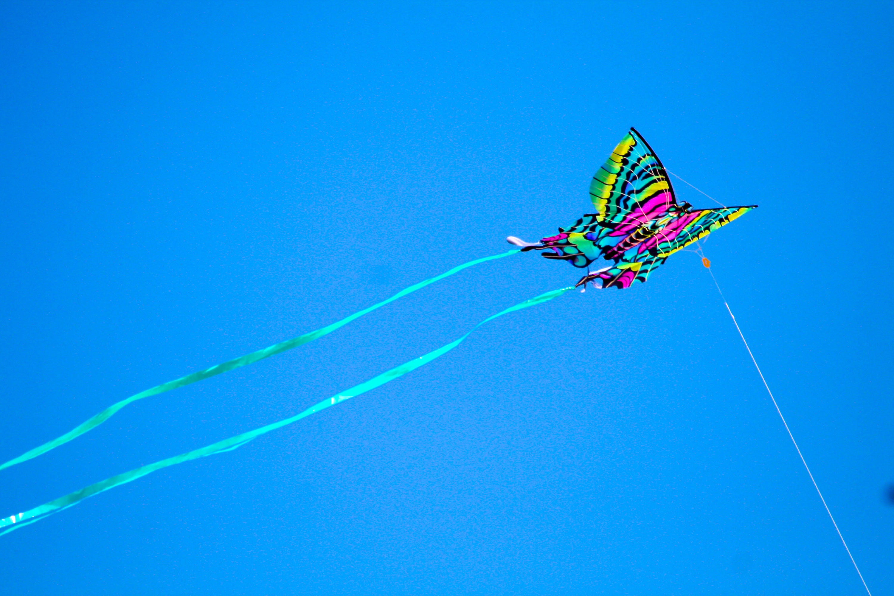 TRADITION PLAT NO 19 - Residential