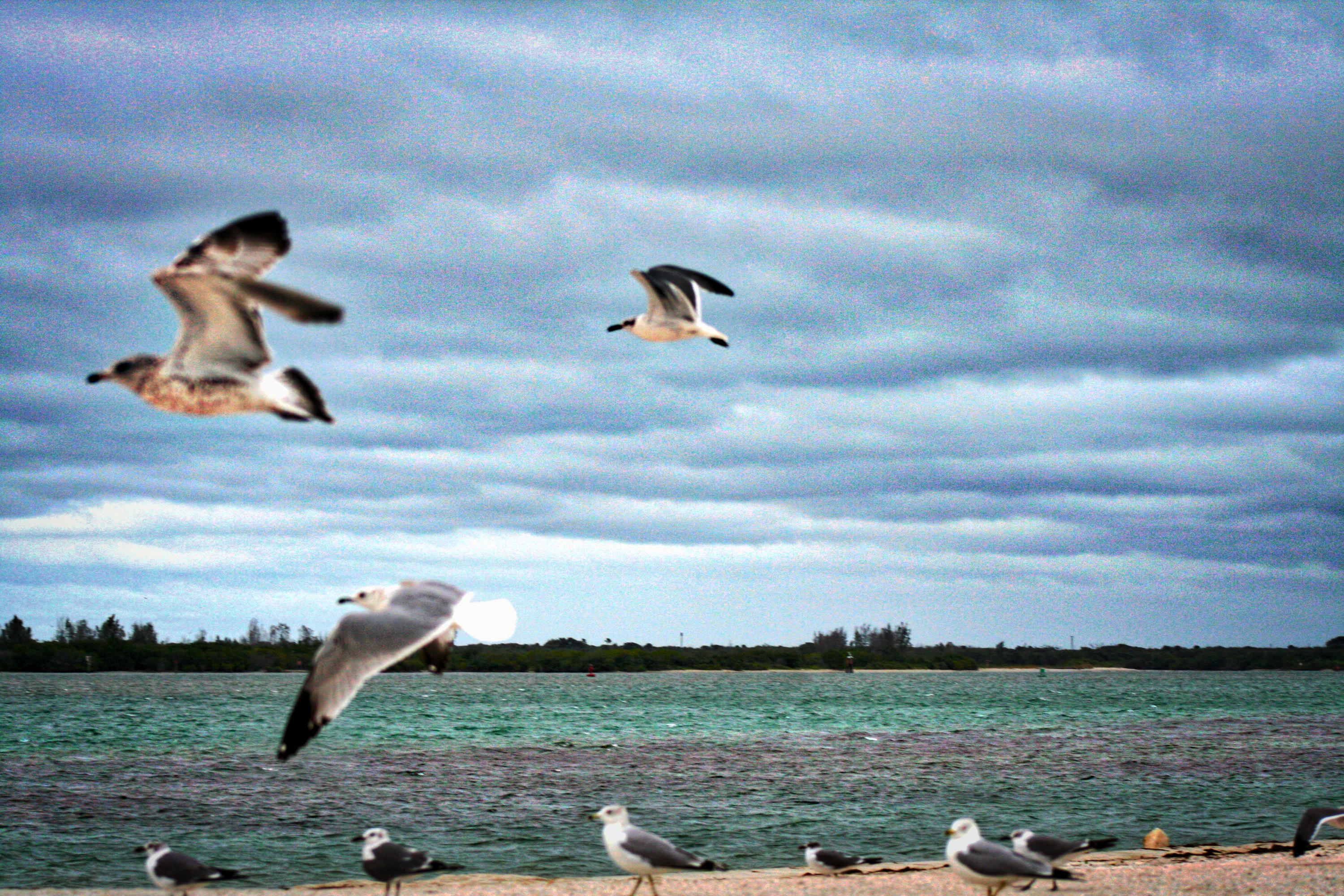 TRADITION PLAT NO 19 - Residential