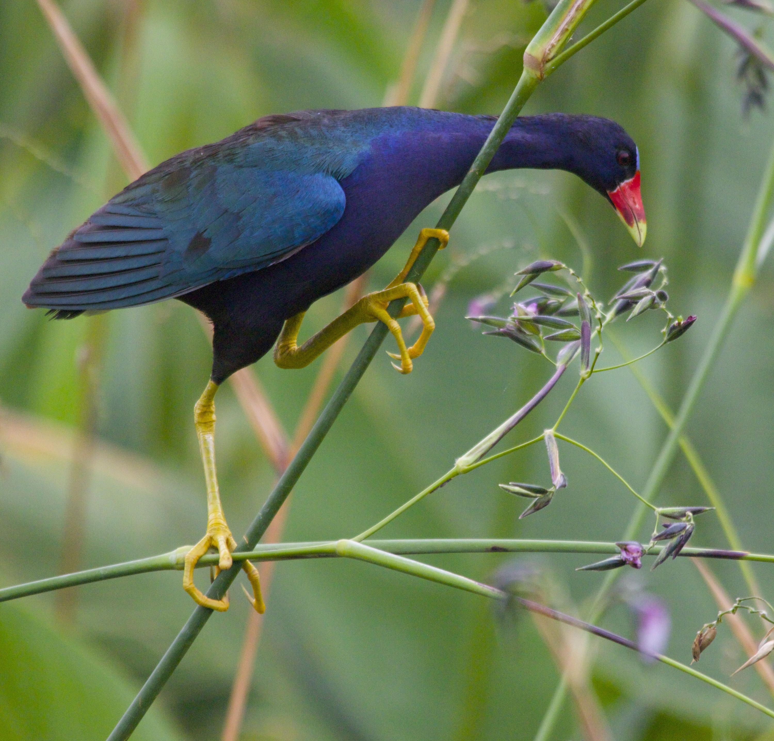 TRADITION PLAT NO 19 - Residential