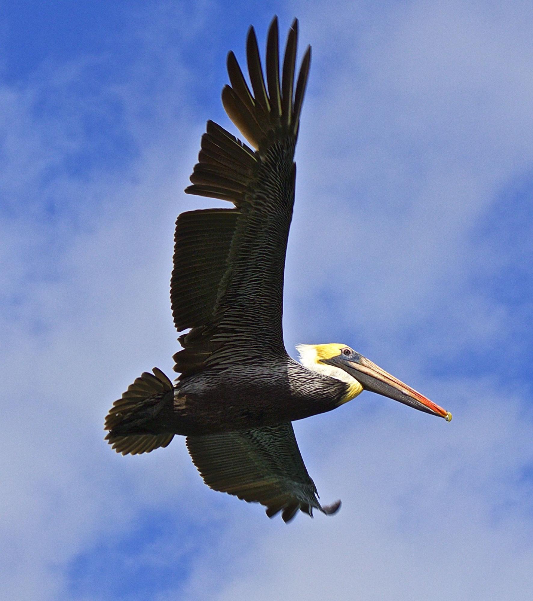 TRADITION PLAT NO 19 - Residential