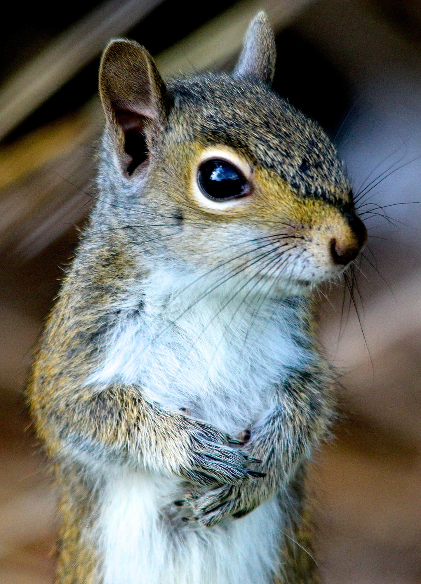 TRADITION PLAT NO 19 - Residential