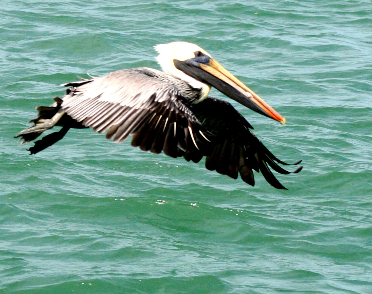 TRADITION PLAT NO 19 - Residential