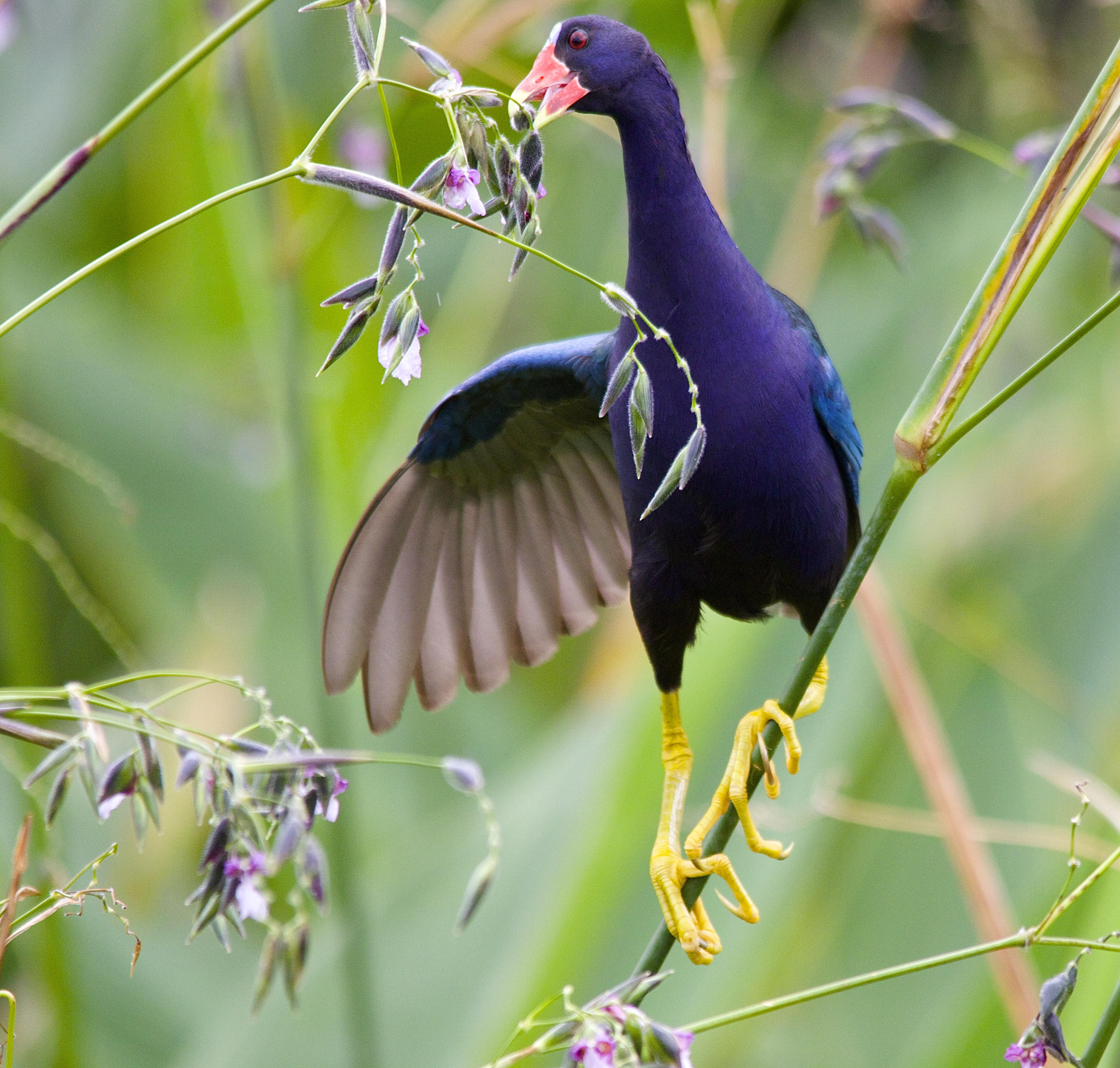 TRADITION PLAT NO 19 - Residential