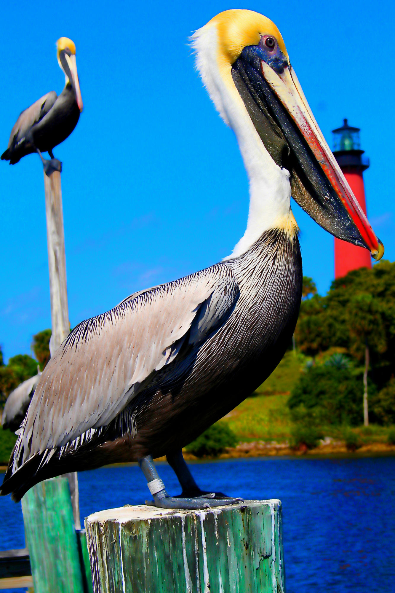 TRADITION PLAT NO 19 - Residential