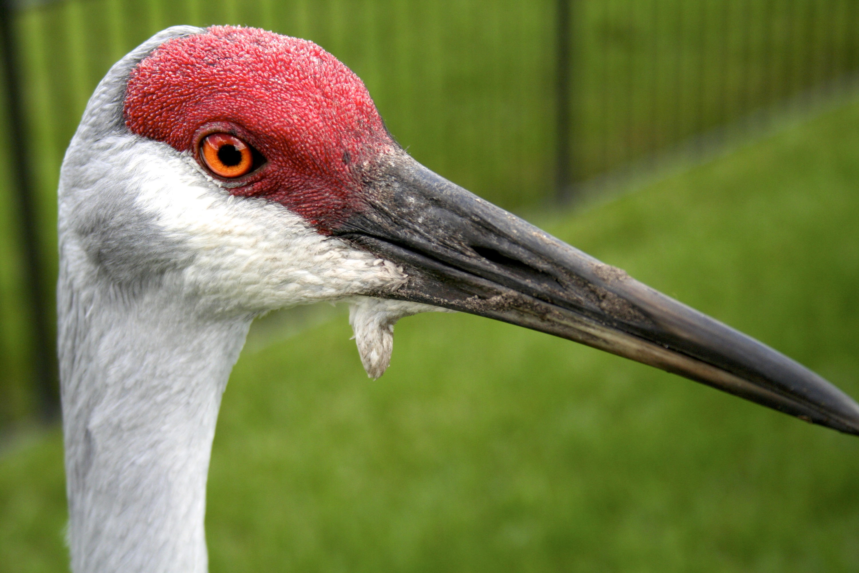 TRADITION PLAT NO 19 - Residential