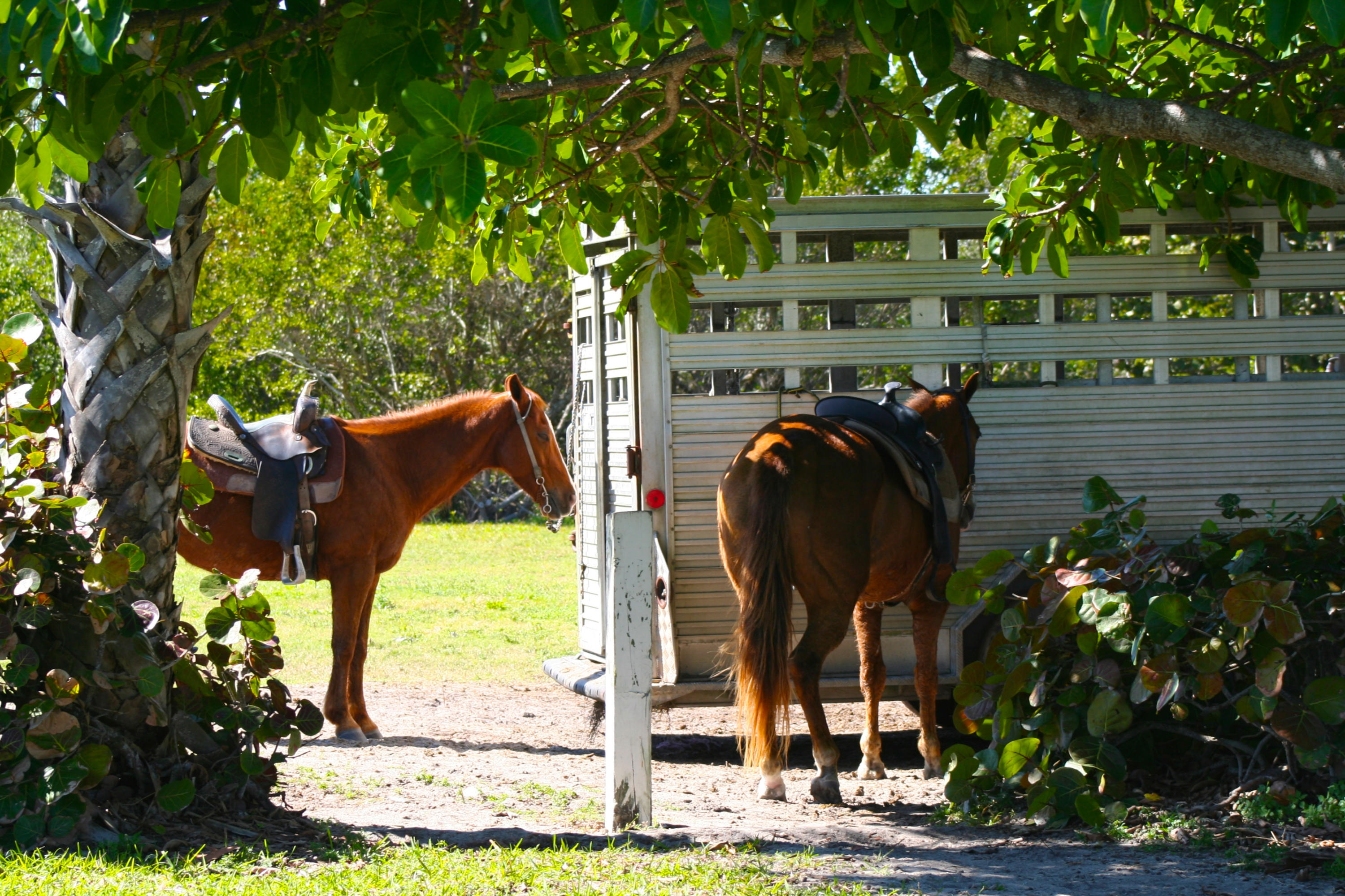 TRADITION PLAT NO 19 - Residential