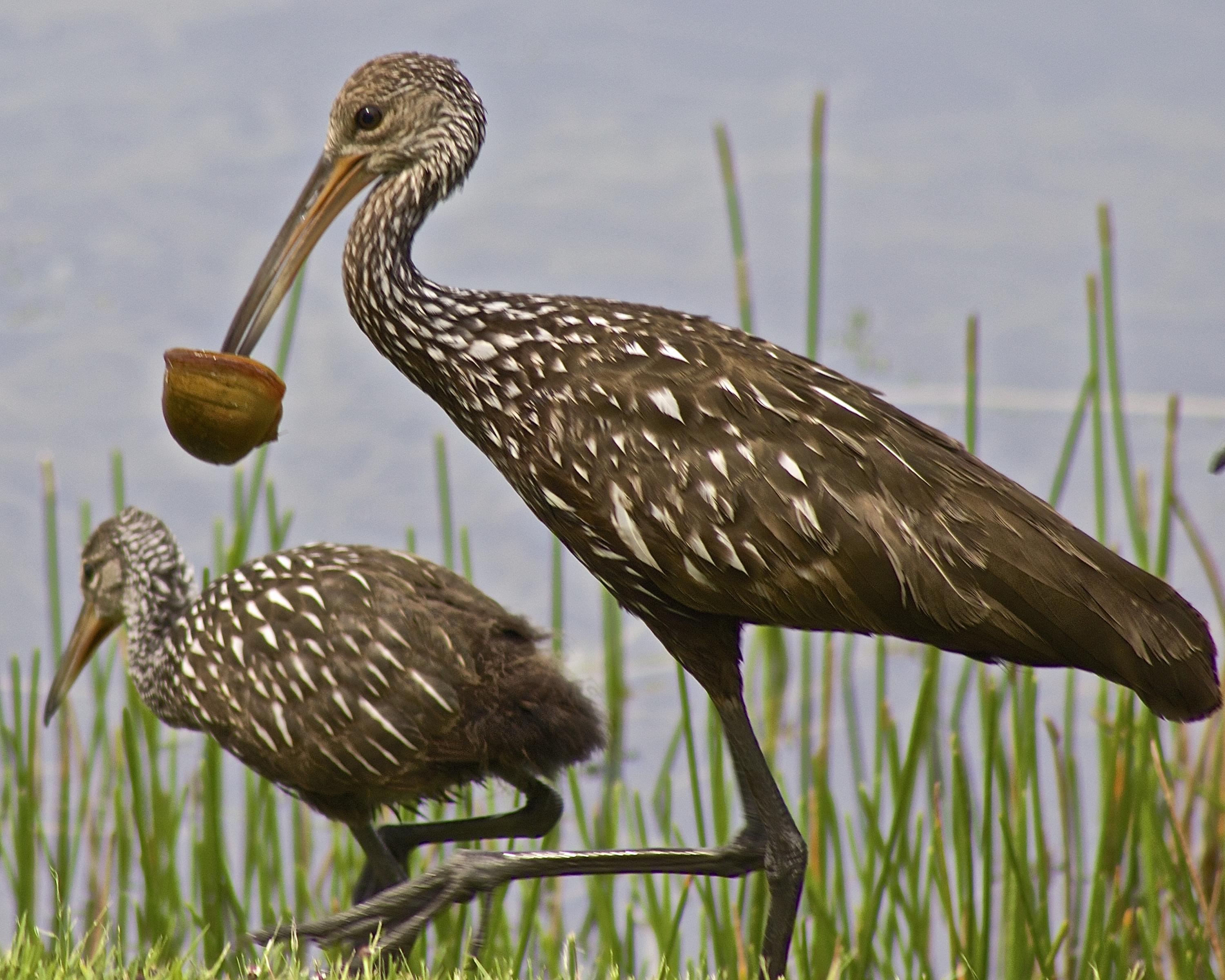 TRADITION PLAT NO 19 - Residential