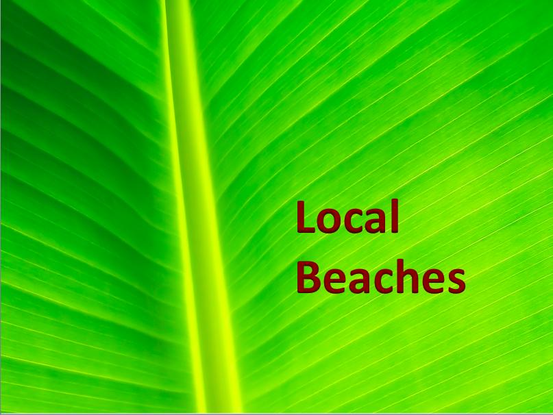 TRADITION PLAT NO 19 - Residential