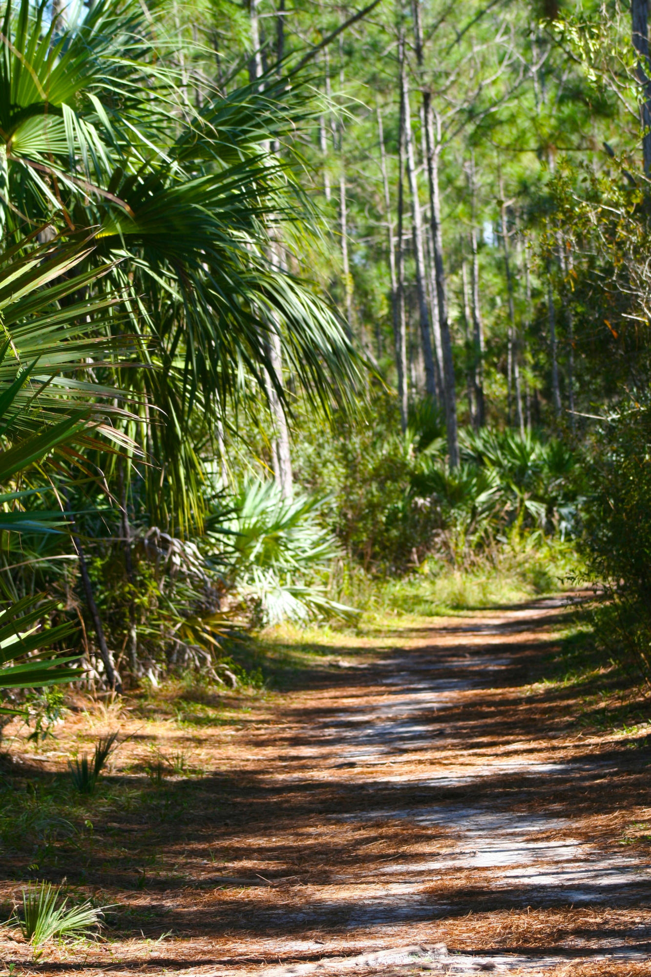 TRADITION PLAT NO 19 - Residential