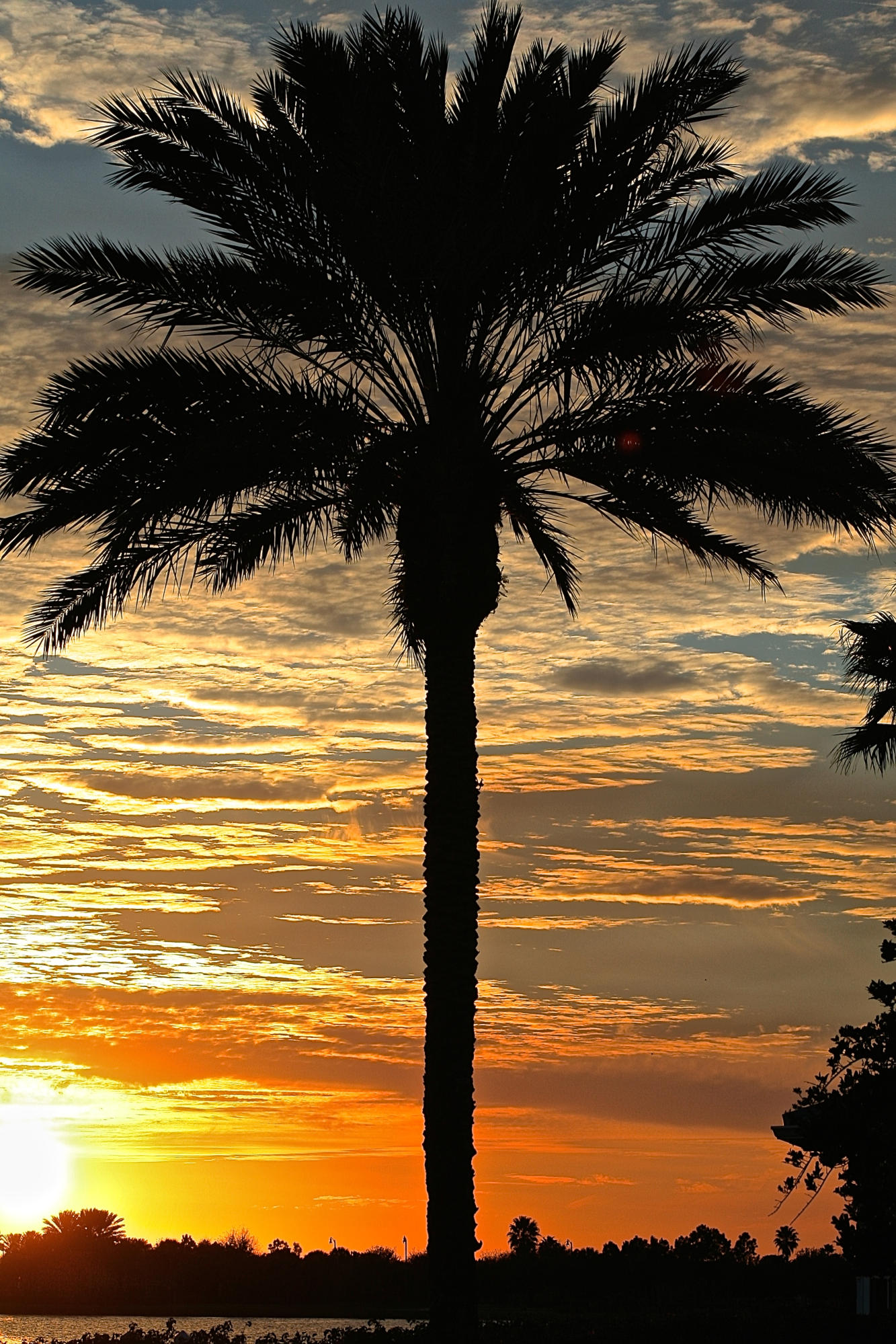 TRADITION PLAT NO 19 - Residential